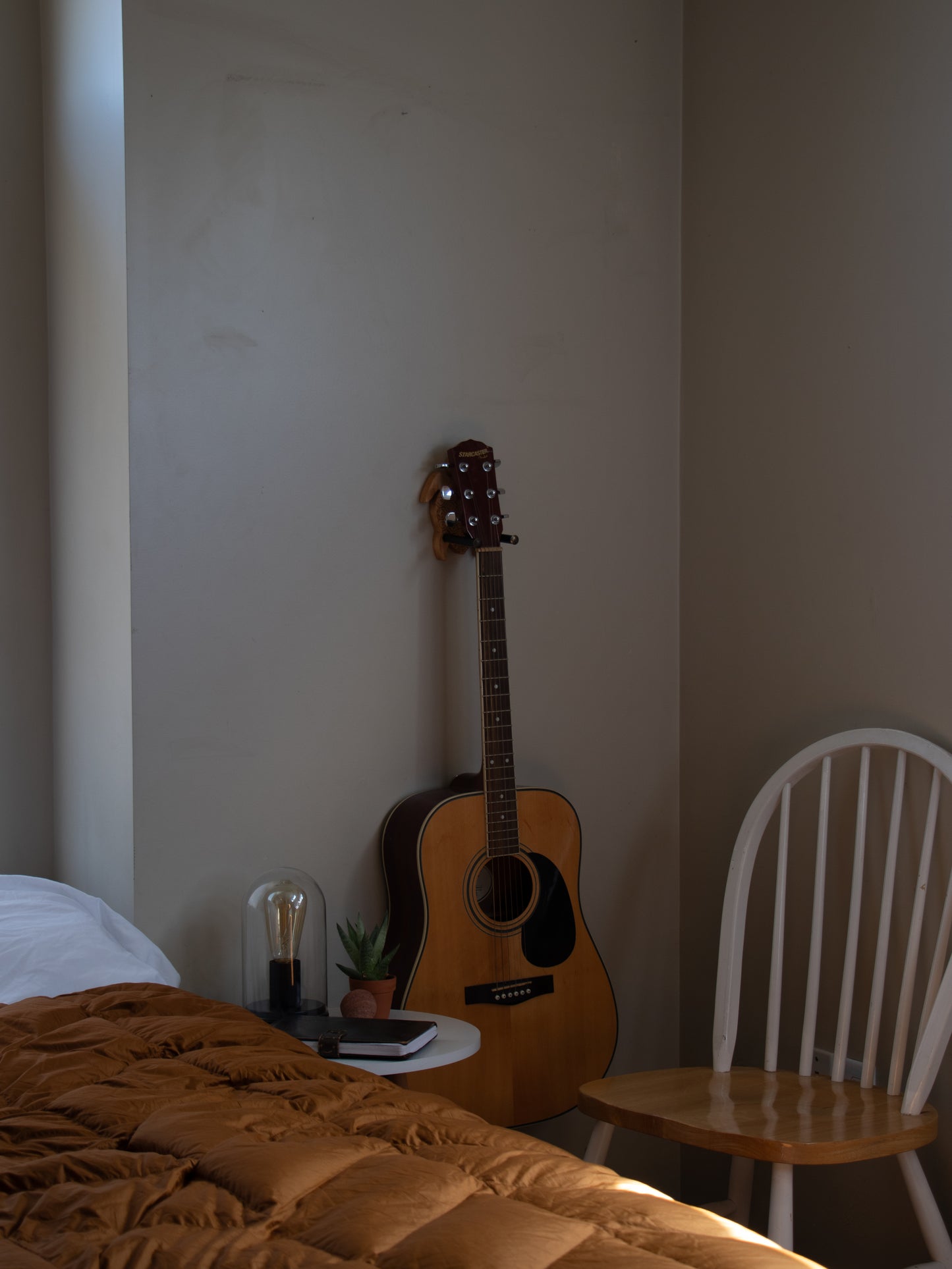 Turtle Guitar Wall Mount