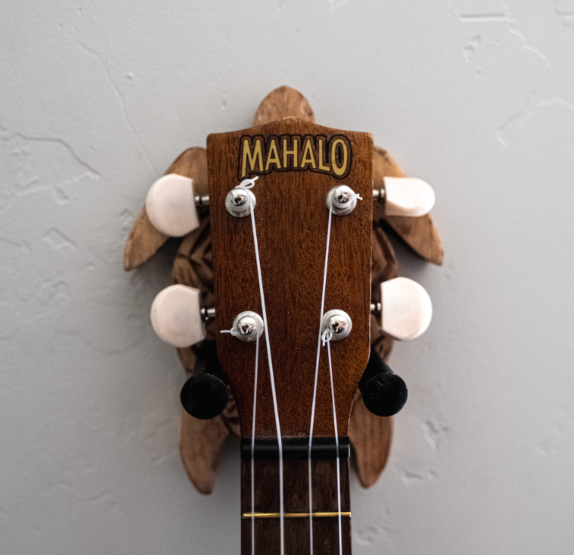 Unique Turtle Ukulele Wall Mount